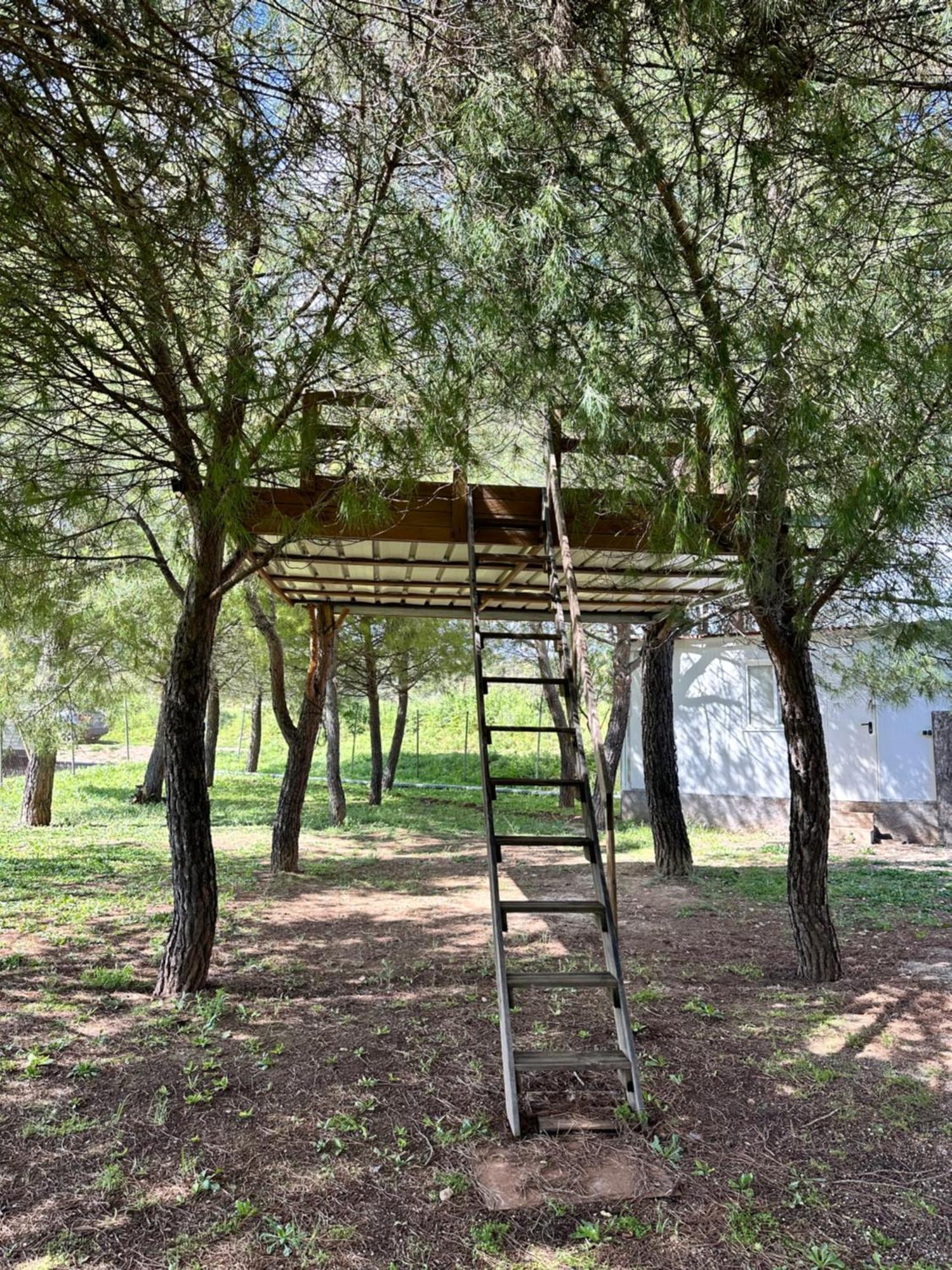 Bungalow Infanta Torrelaguna エクステリア 写真
